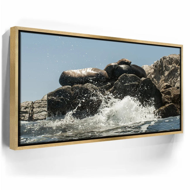 Featured image 8 for Sea Lions Splash - La Ventana - Mexico