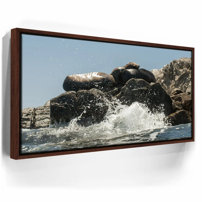 Featured image 11 for Sea Lions Splash - La Ventana - Mexico