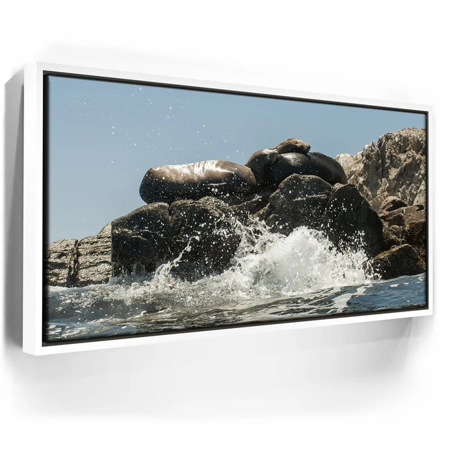 Featured image 7 for Sea Lions Splash - La Ventana - Mexico