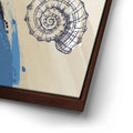 Thumbnail image 14 for Seashells