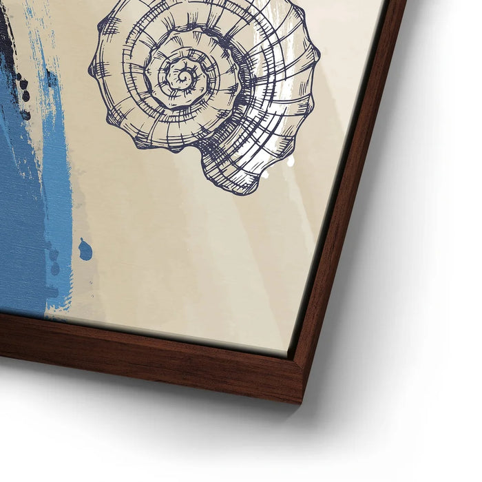 Featured image 14 for Seashells