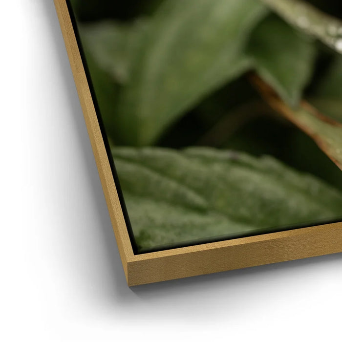 Featured image 12 for Serene Drops on Green-Oahu, HI