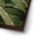 Thumbnail image 14 for Serene Drops on Green-Oahu, HI