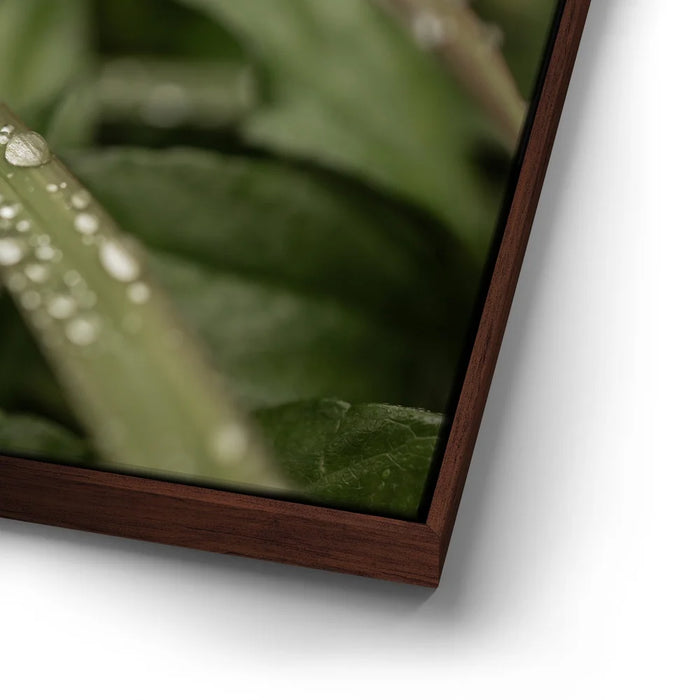 Featured image 14 for Serene Drops on Green-Oahu, HI