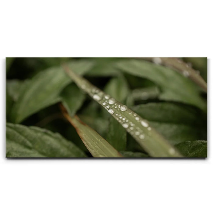 Featured image 1 for Serene Drops on Green-Oahu, HI