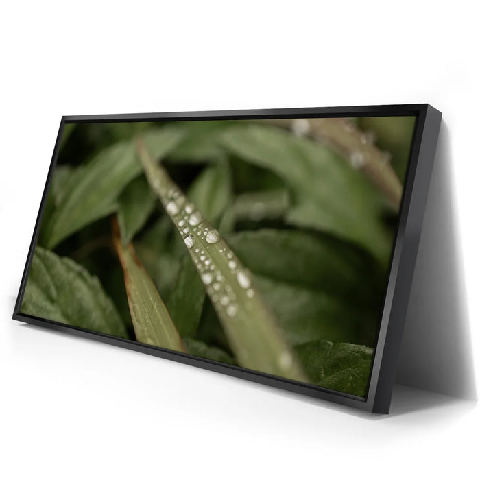 Featured image 2 for Serene Drops on Green-Oahu, HI