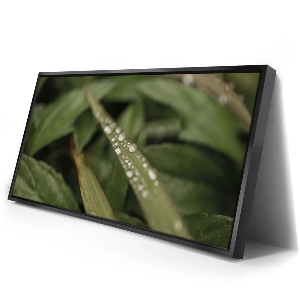 Featured image 2 for Serene Drops on Green-Oahu, HI