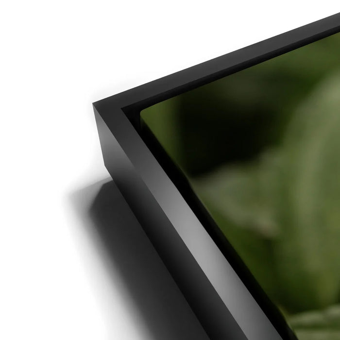 Featured image 11 for Serene Drops on Green-Oahu, HI