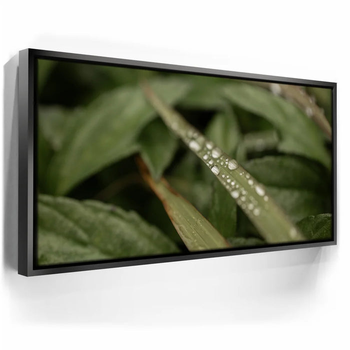 Featured image 5 for Serene Drops on Green-Oahu, HI