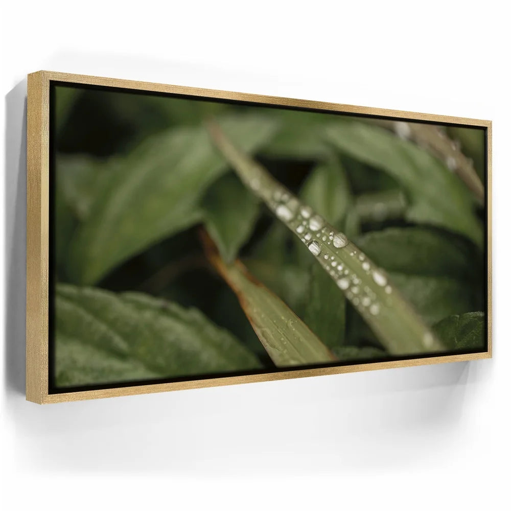Featured image 7 for Serene Drops on Green-Oahu, HI