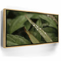 Featured image 7 for Serene Drops on Green-Oahu, HI