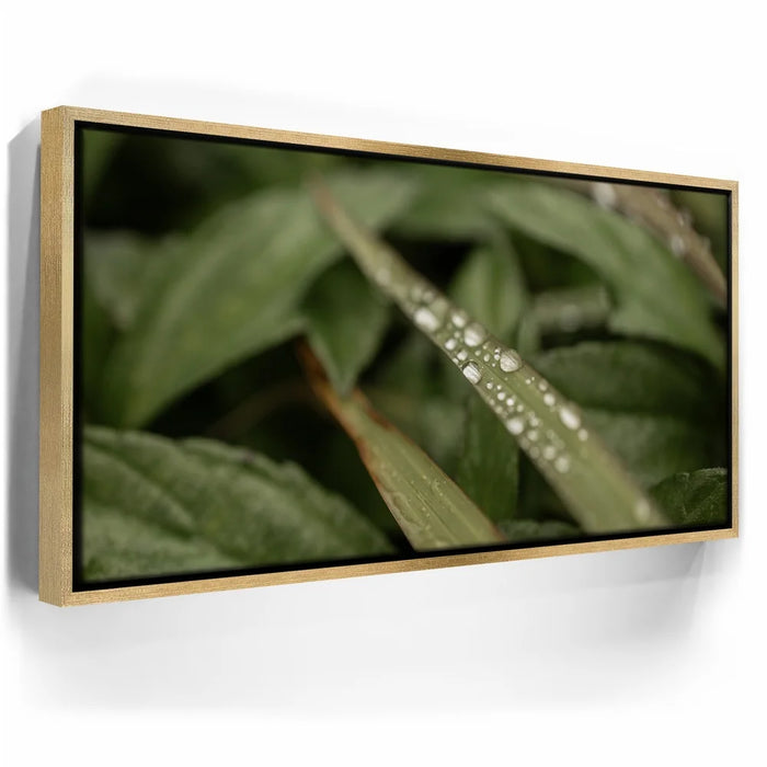 Featured image 7 for Serene Drops on Green-Oahu, HI