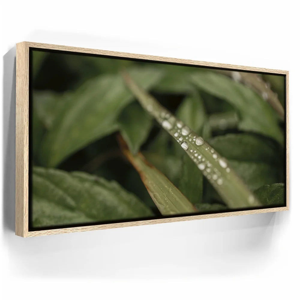 Featured image 9 for Serene Drops on Green-Oahu, HI