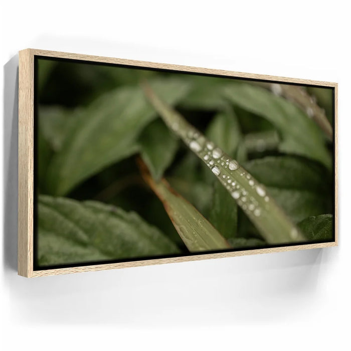 Featured image 9 for Serene Drops on Green-Oahu, HI