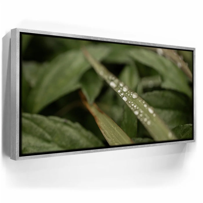 Featured image 8 for Serene Drops on Green-Oahu, HI