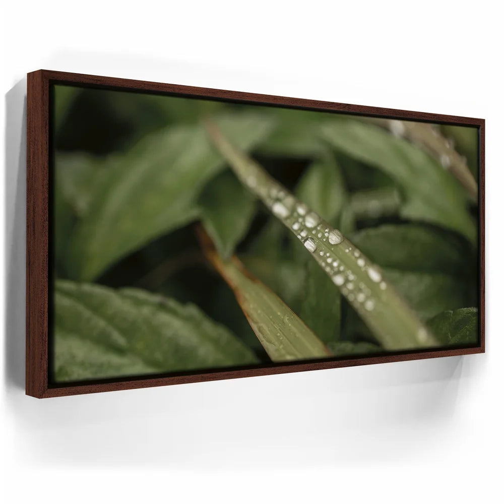 Featured image 10 for Serene Drops on Green-Oahu, HI