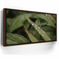 Featured image 10 for Serene Drops on Green-Oahu, HI