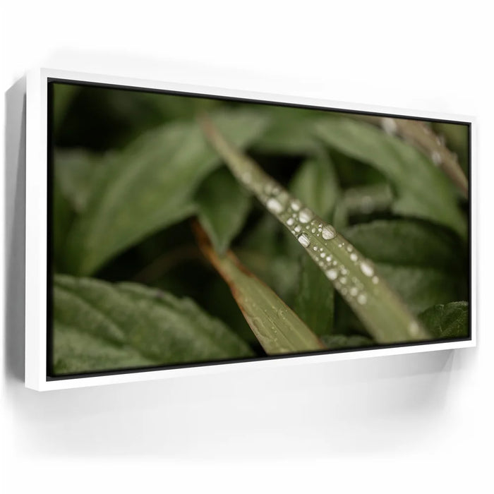 Featured image 6 for Serene Drops on Green-Oahu, HI