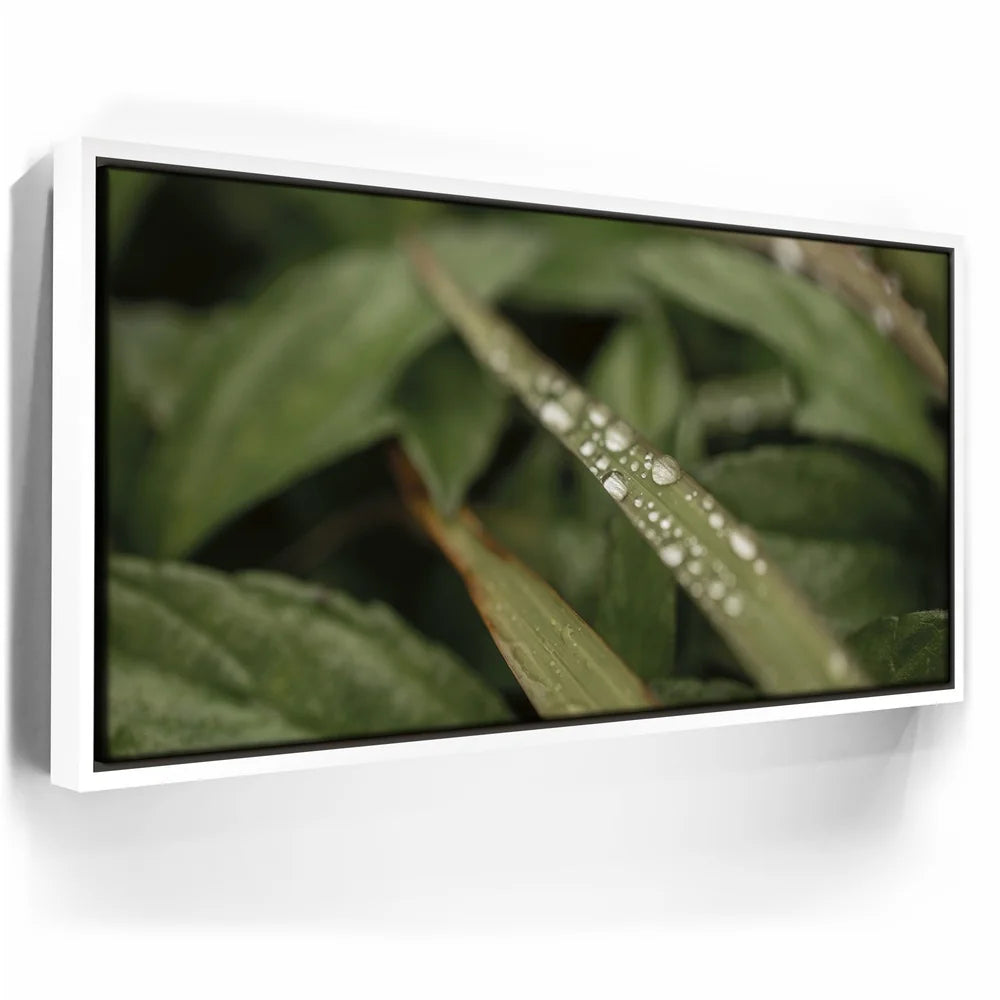 Featured image 6 for Serene Drops on Green-Oahu, HI