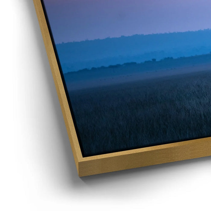 Featured image 12 for Serengeti Slowdown