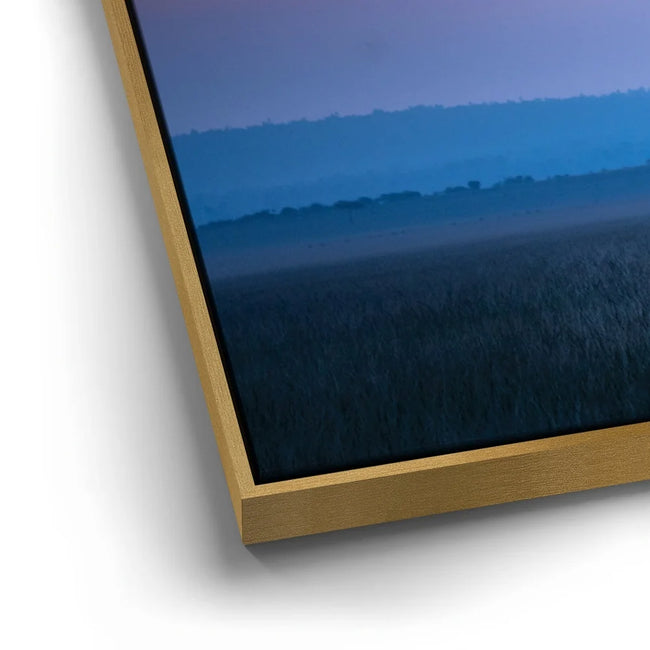 Featured image 12 for Serengeti Slowdown