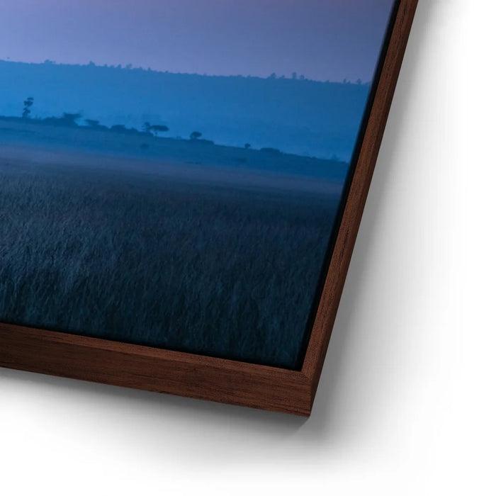 Featured image 14 for Serengeti Slowdown