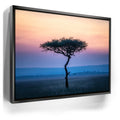 Featured image 5 for Serengeti Slowdown