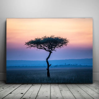 Serengeti Slowdown