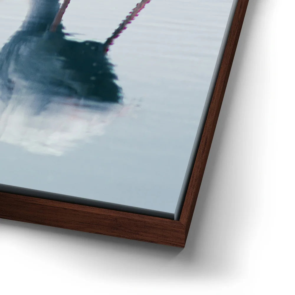 Featured image 14 for Serenity Flamingo