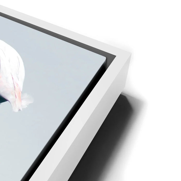 Featured image 13 for Serenity Flamingo