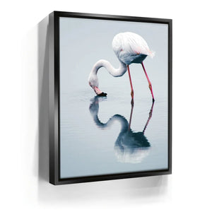 FABIO COMPARELLI featured image 2