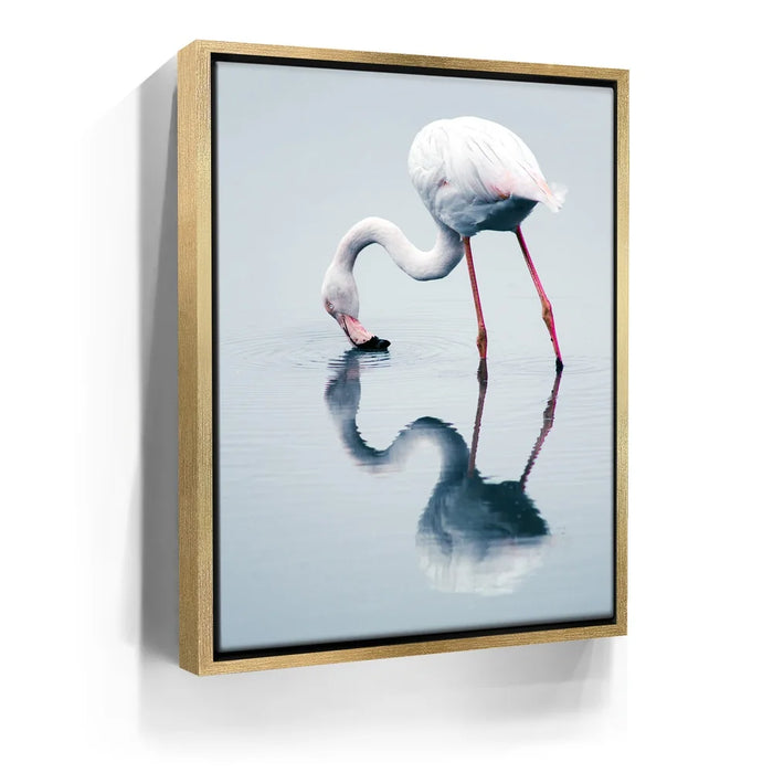 Featured image 7 for Serenity Flamingo