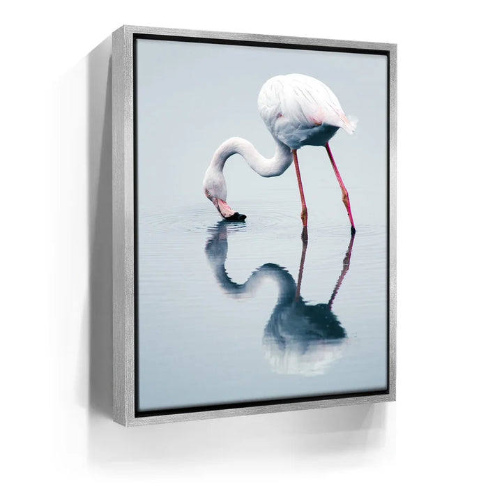 Featured image 8 for Serenity Flamingo