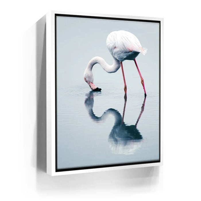 Featured image 6 for Serenity Flamingo