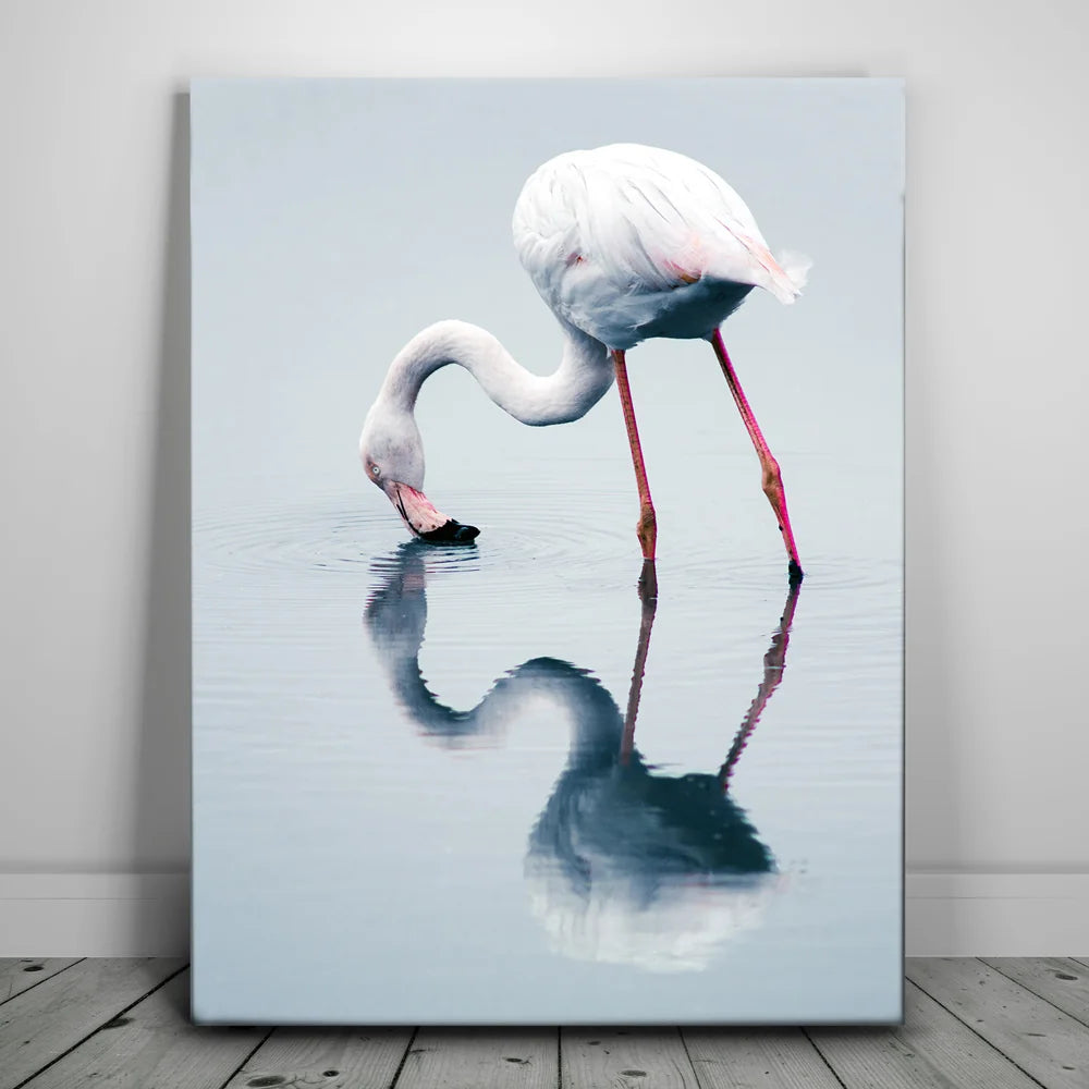 Featured image 1 for Serenity Flamingo