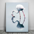 Featured image 1 for Serenity Flamingo