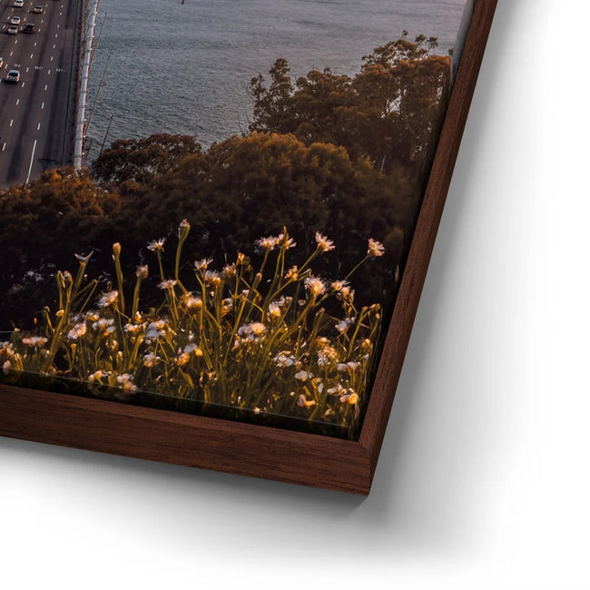 Featured image 14 for SF Sunset Flowers