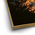 Thumbnail image 12 for Shades of Gold - Mt. Rainier