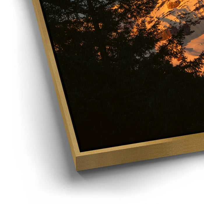 Featured image 12 for Shades of Gold - Mt. Rainier