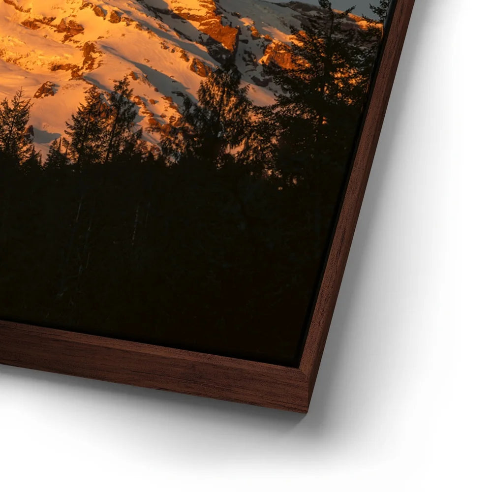 Featured image 14 for Shades of Gold - Mt. Rainier
