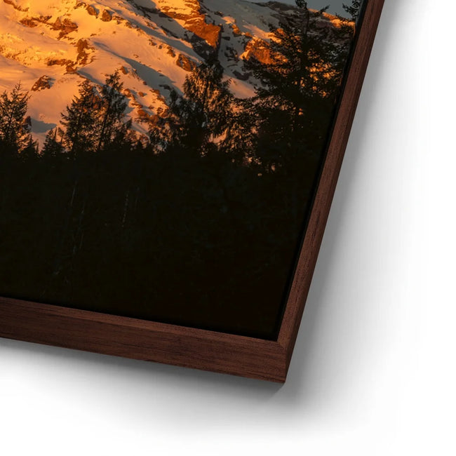 Featured image 14 for Shades of Gold - Mt. Rainier