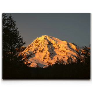 Shades of Gold - Mt. Rainier