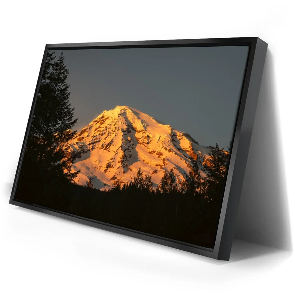 Featured image 2 for Shades of Gold - Mt. Rainier