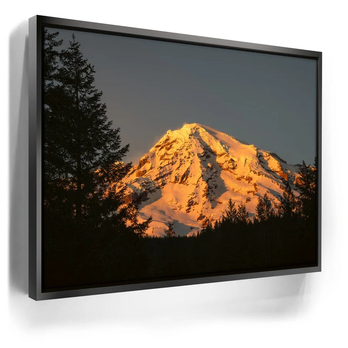 Featured image 5 for Shades of Gold - Mt. Rainier