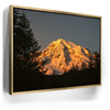 Featured image 7 for Shades of Gold - Mt. Rainier