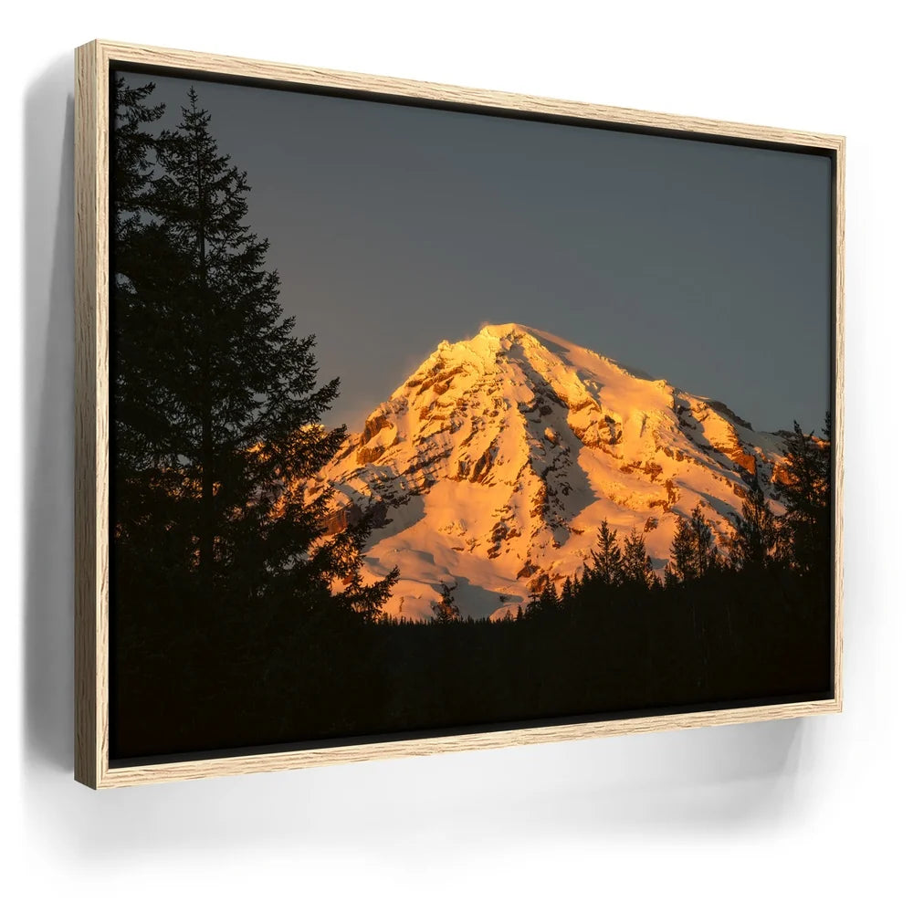 Featured image 9 for Shades of Gold - Mt. Rainier
