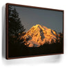 Featured image 10 for Shades of Gold - Mt. Rainier