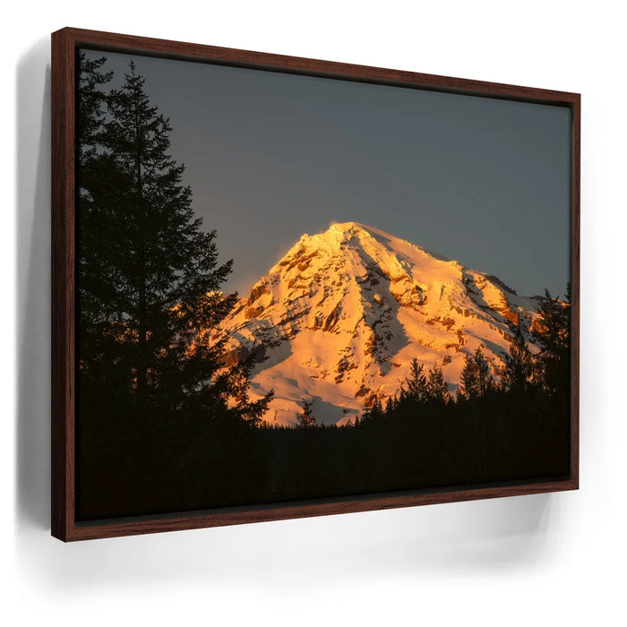 Featured image 10 for Shades of Gold - Mt. Rainier