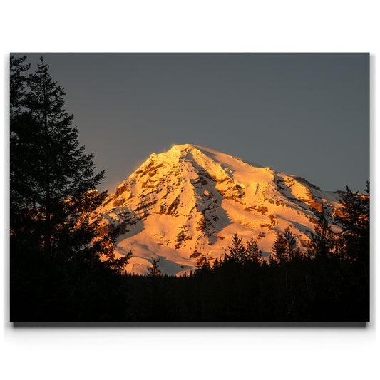 Shades of Gold - Mt. Rainier Posters, Prints, & Visual Artwork TheGoatWallArt LANDSCAPE 24x18 0.75" STANDARD