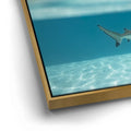 Thumbnail image 12 for Shark Cruising - Tahiti